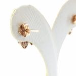 گل گوش - Image 3
